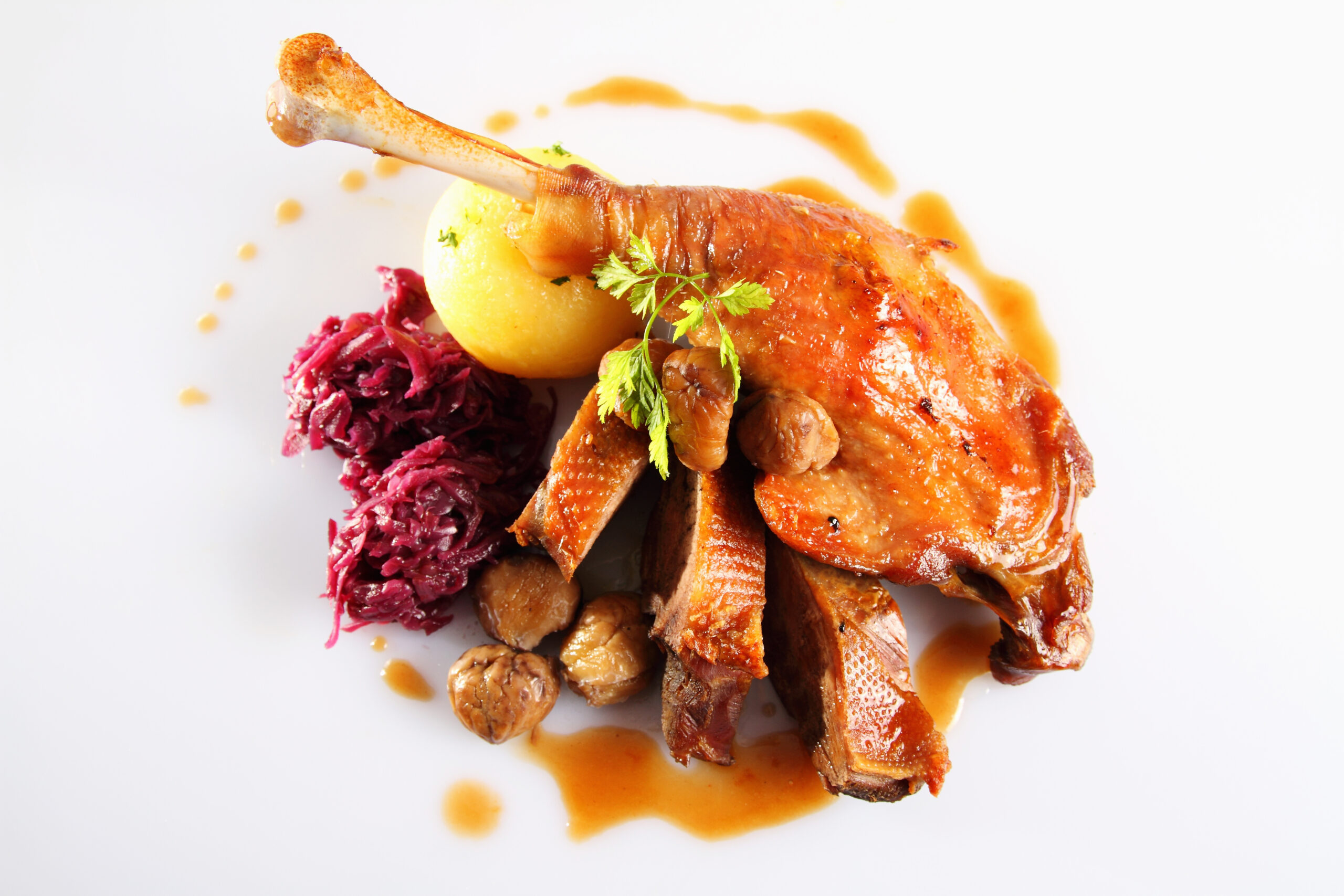 Saftiger Gänsebraten mit Rotkraut und einem Kloß umrandet von einer Bratensoße auf weissem Grund.